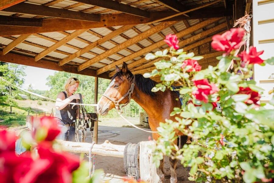 Connect with Nature on Quiet Horse Farm - Ferienwohnung Troutman
