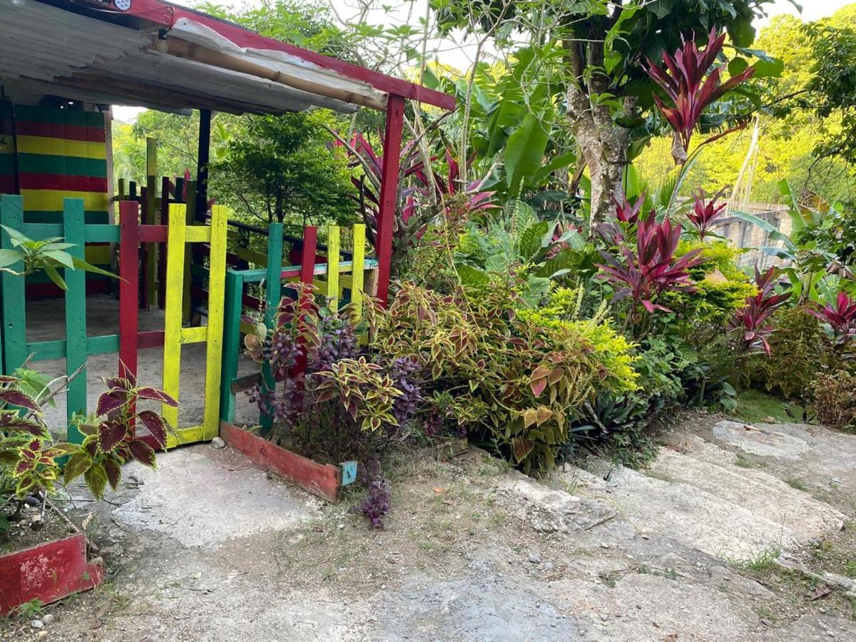 Nature in portland Eco Villas - Ferienwohnung Port Antonio