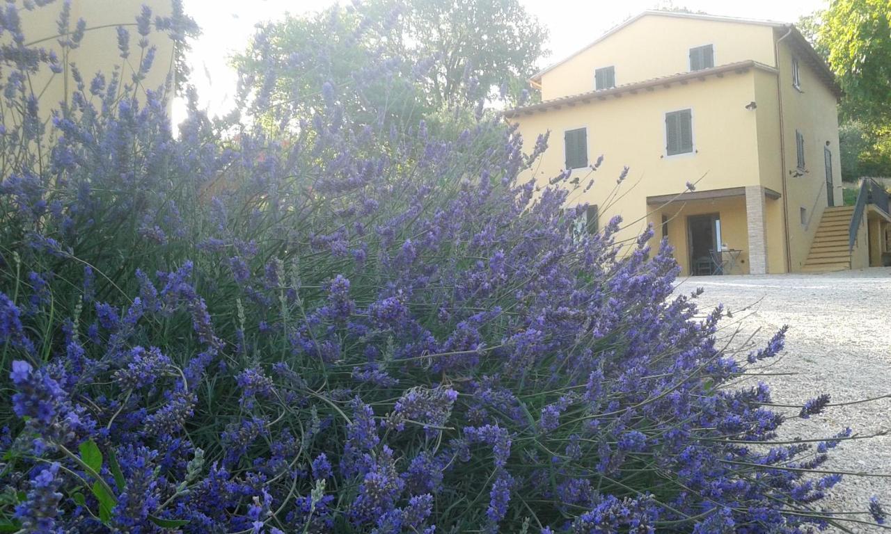 Agriturismo Il Truffarello TODI - Ferienwohnung