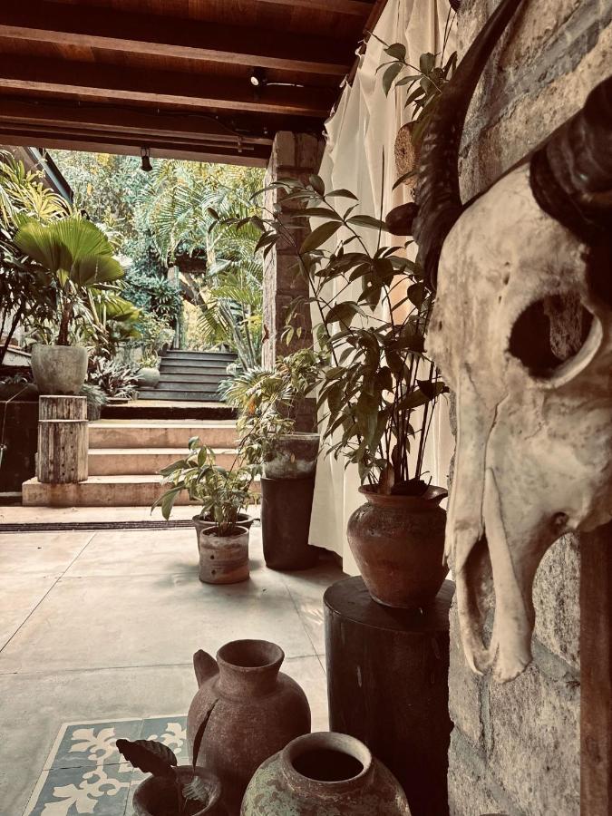 Estudio con vistas a la piscina