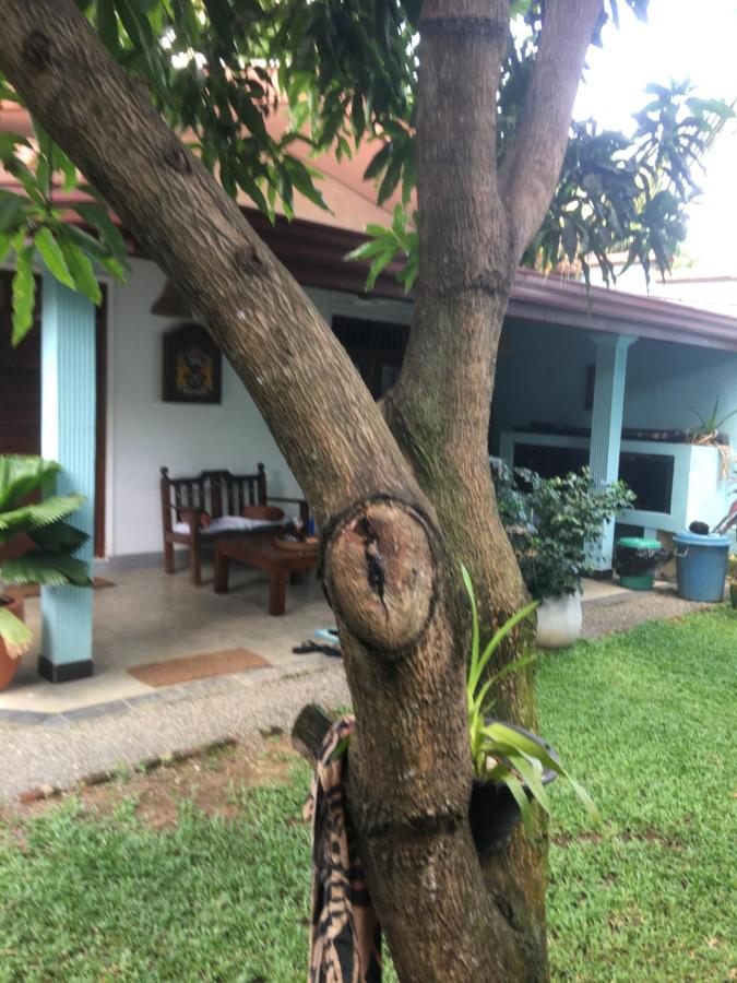 villa fuffy - Ferienwohnung Unawatuna