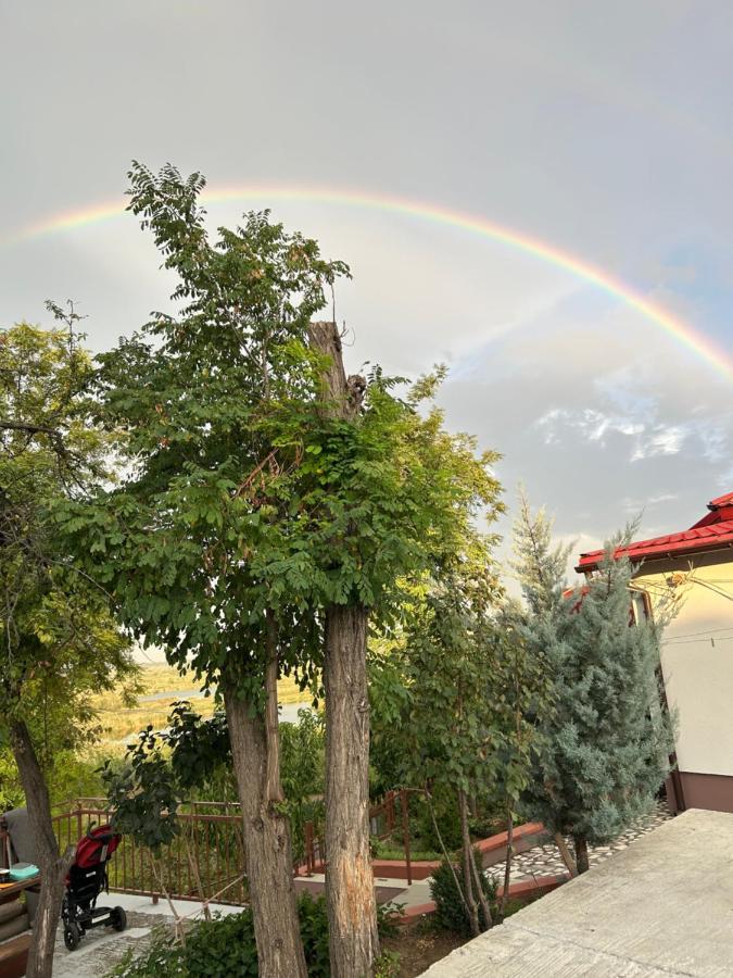 Casa Lui Neica - B&B Tulcea