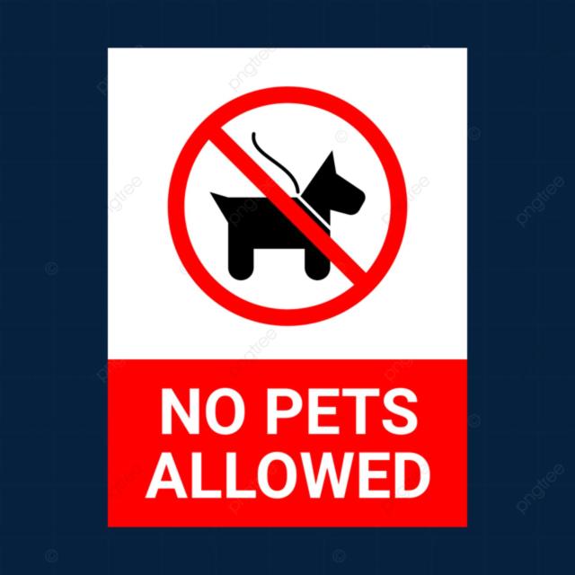 Studio with Sea View