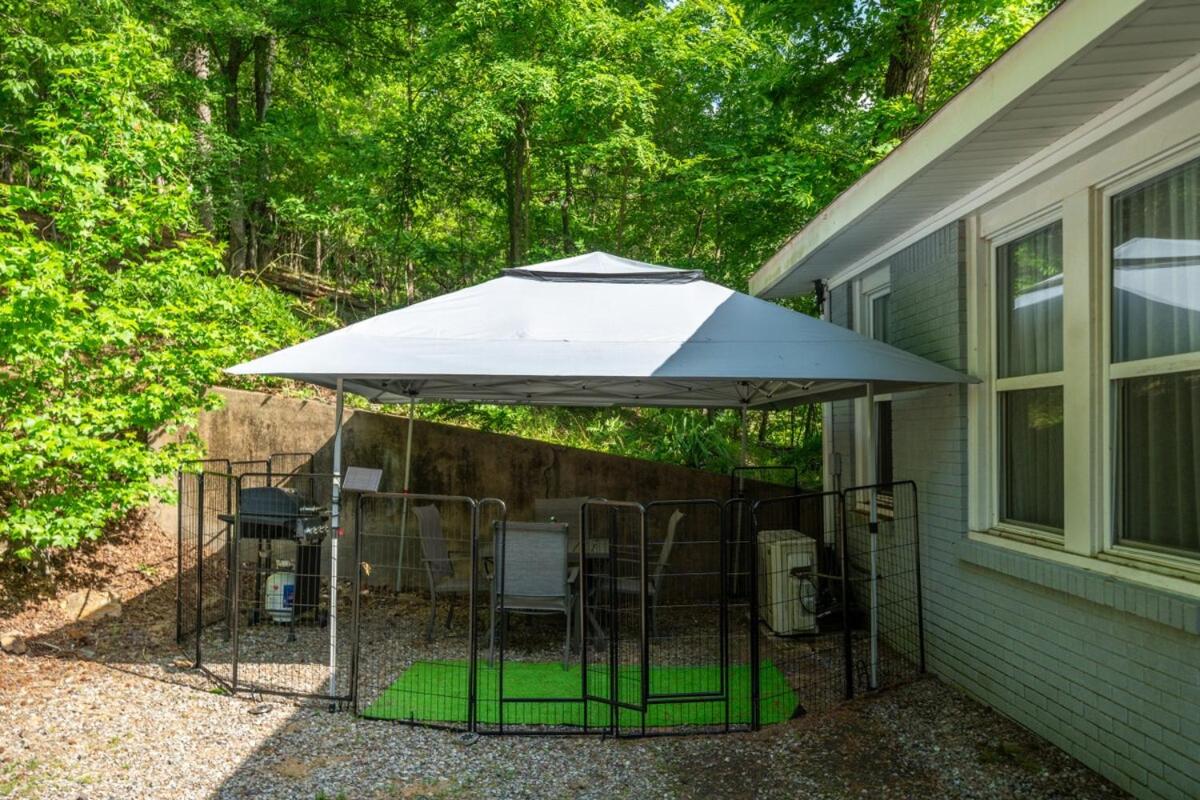 Mountain Bungalow-Walk to Downtown/Biker's Dream! - Bed and Breakfast Hot Springs