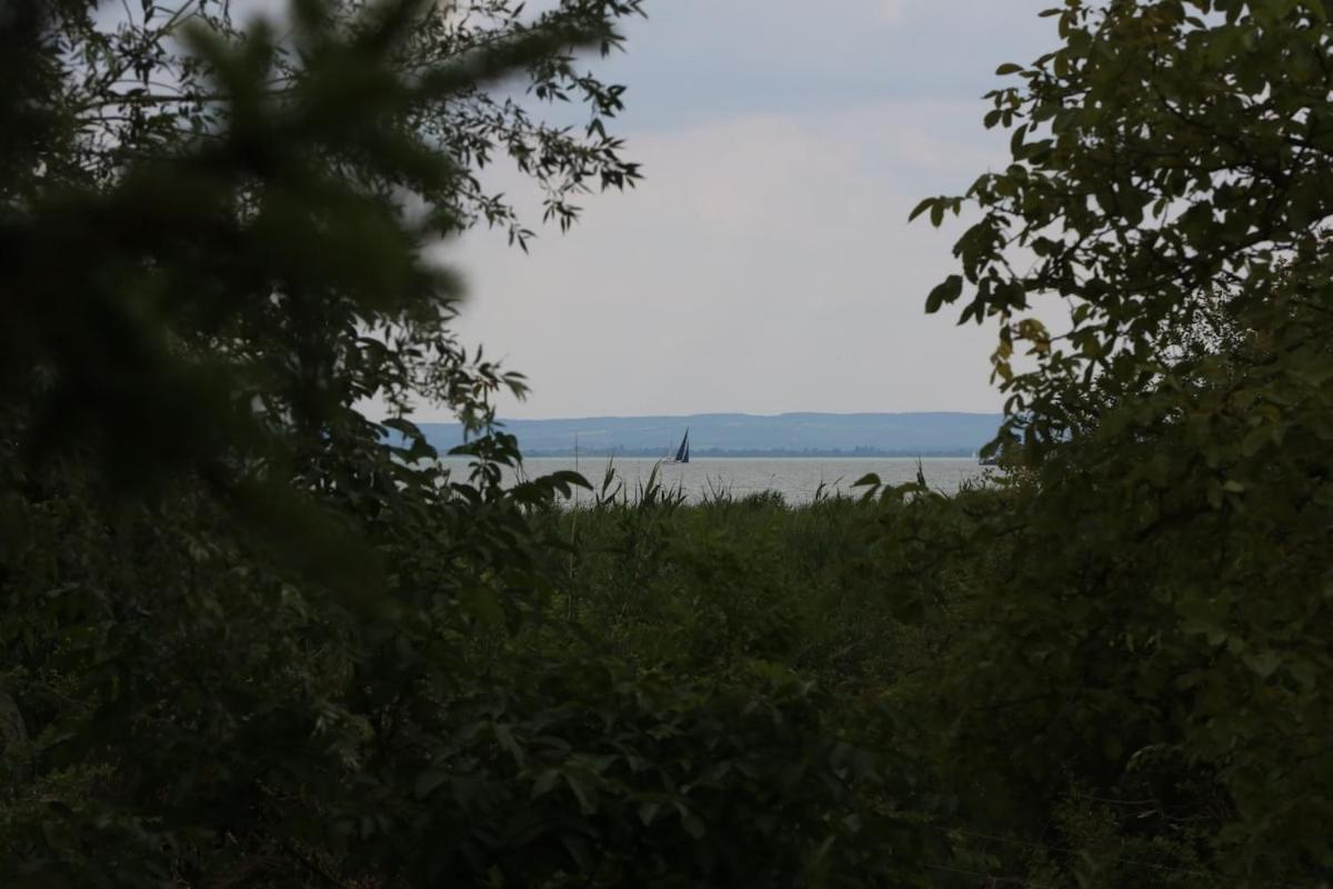 Fruska Badacsony - B&B Badacsonytomaj