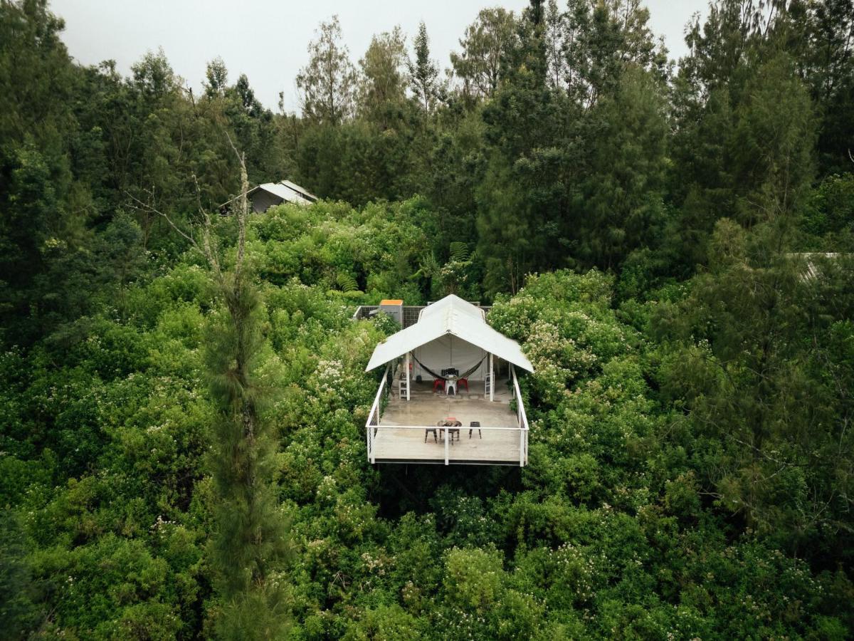 Iglam Ijen - B&B Gunungblau