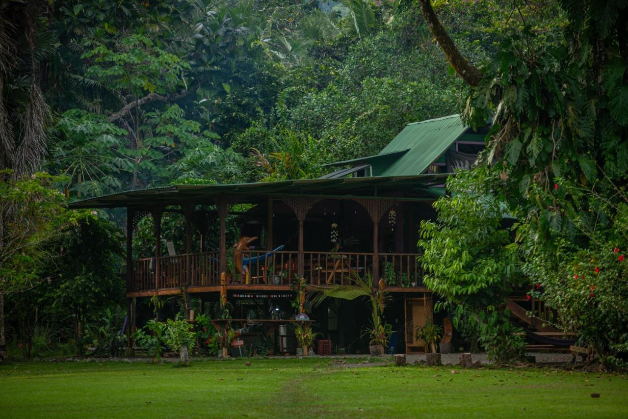 Dolphin Quest Jungle Lodge - B&B Piedras Blancas