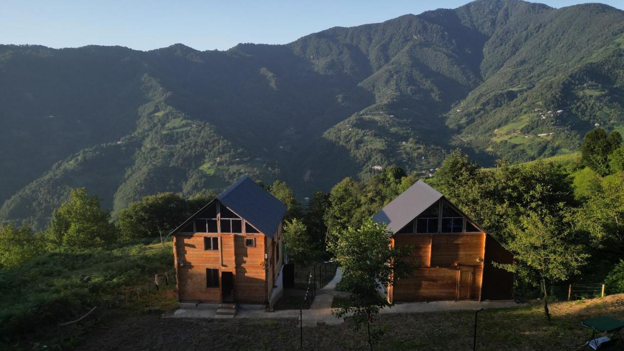 Qobu-2 - Bed and Breakfast Inasharidzeebi