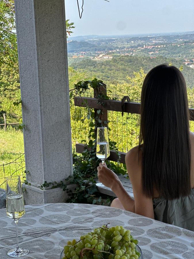 Karol-ina Estate - Chambres d'hôtes Branik