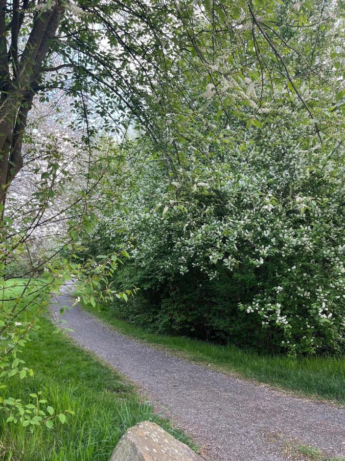 Kleine ruhige Oase im Grünen - B&B Osnabrück