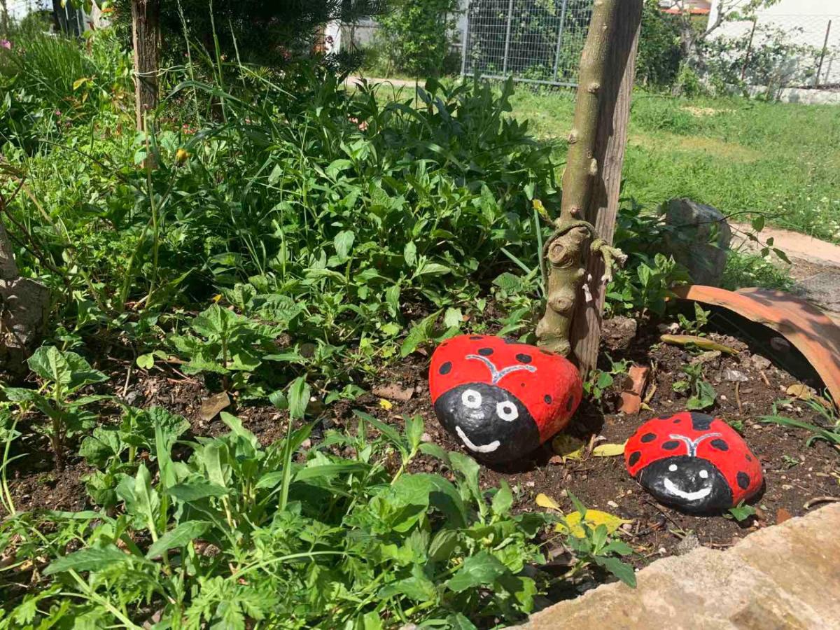 Παραδοσιακή Κατοικία - Ferienwohnung Kalývia