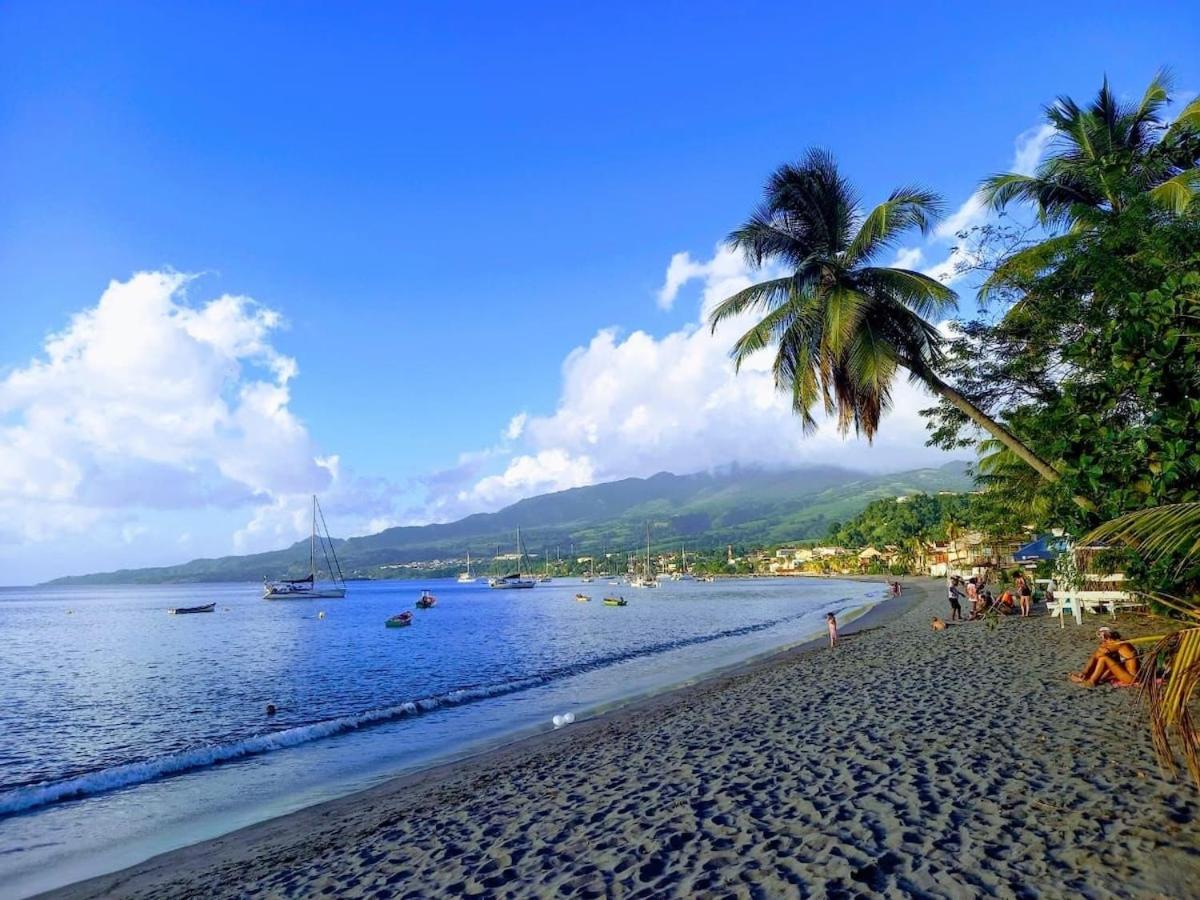 Chez Patricia - vue panoramique au Carbet - Bed and Breakfast Le Carbet