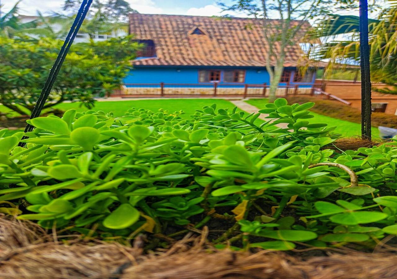 Finca VIP de lujo privada, jacuzzi y paz cerca de la piedra de Guatape - B&B Guatapé