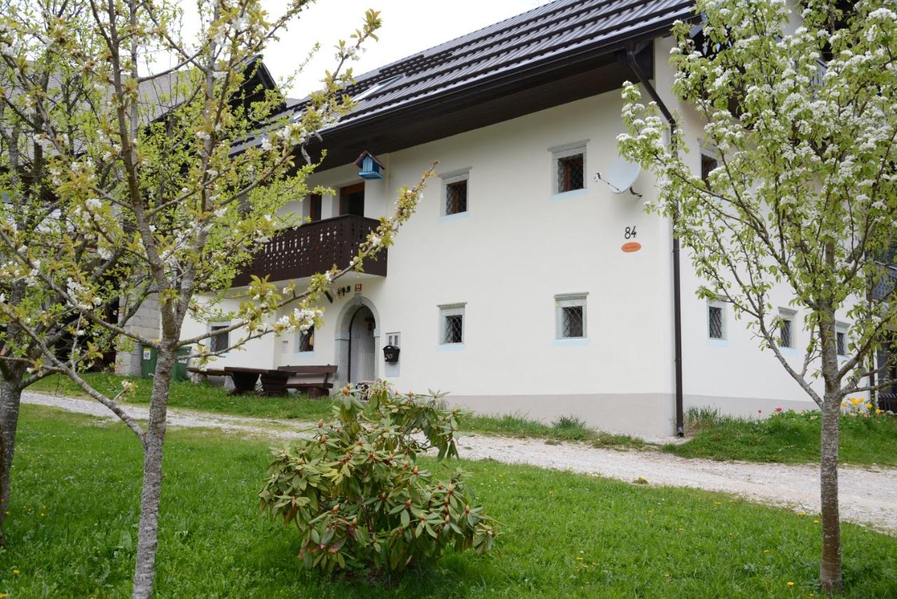 B&B Bled - Apartment Zatrnik - Bed and Breakfast Bled