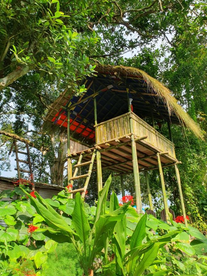 Pemsee's Tree Town - Eco Treehouse Hostel - B&B Sauraha