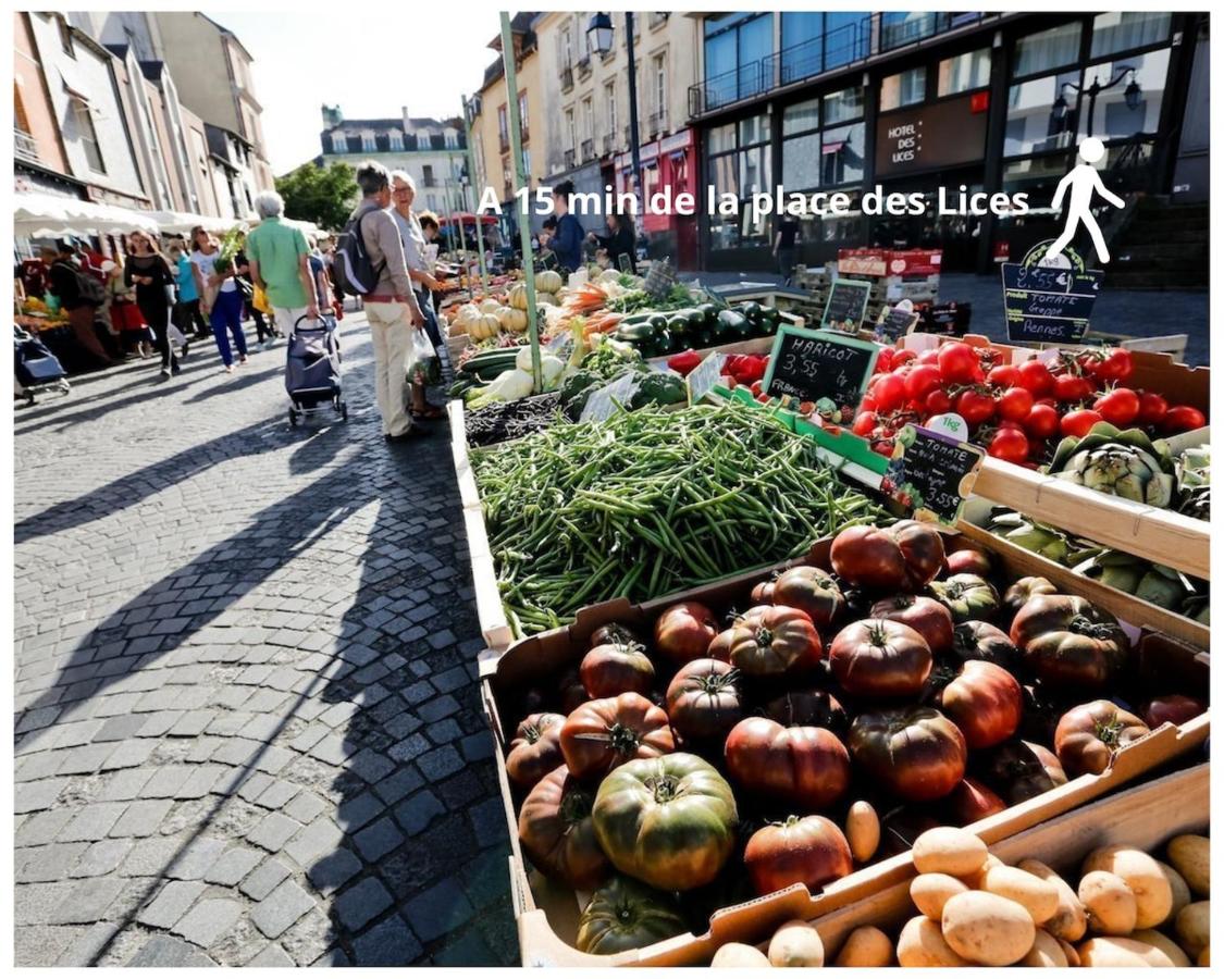 KingDom, joli studio RENNES Anatole France - B&B Rennes