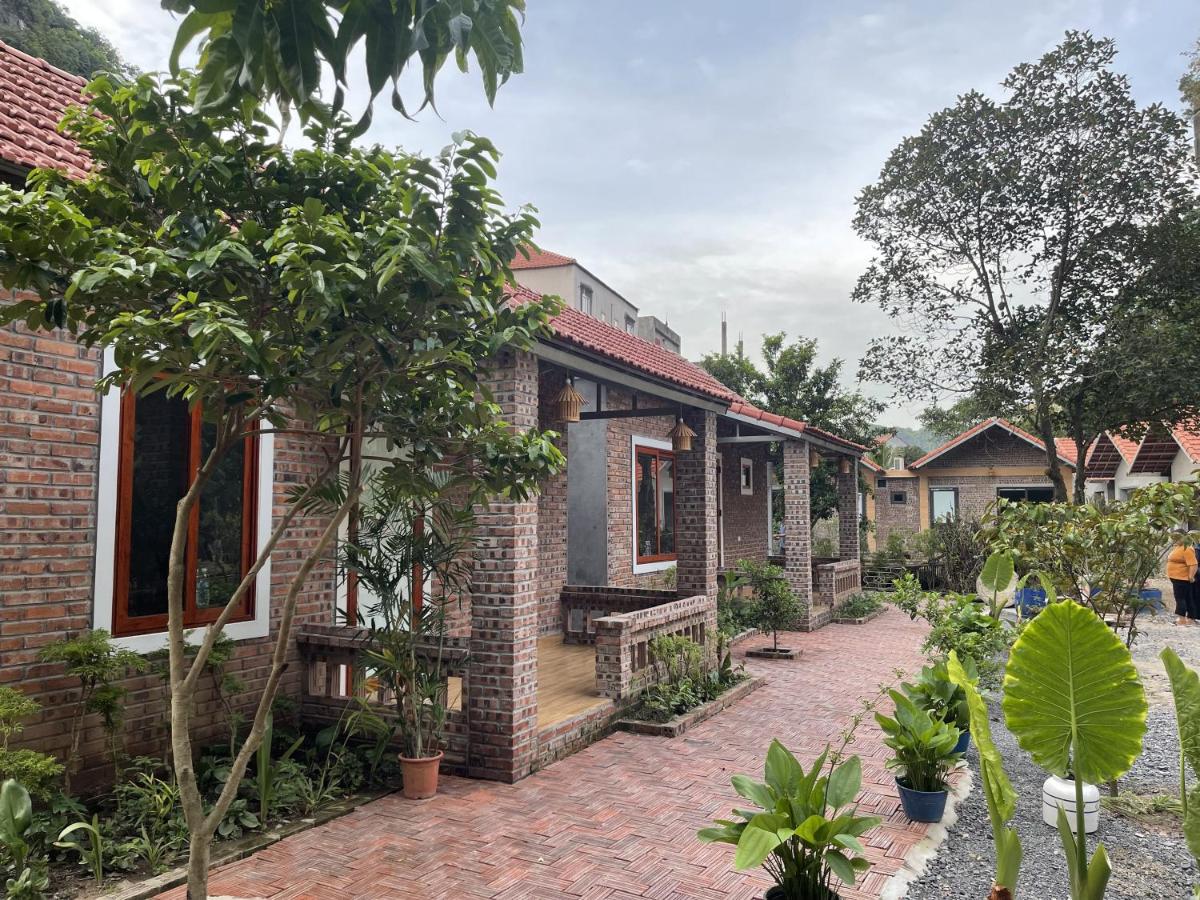 Tam Coc Mountain Light Homestay - Bed and Breakfast Ninh Bình