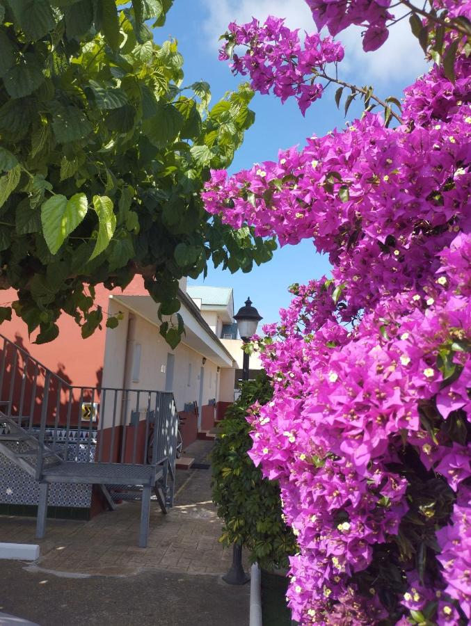 Casablanca El Petit Hotel - B&B Deltebre