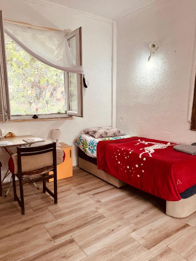 Charming Home with Outdoor Area - B&B Skopje