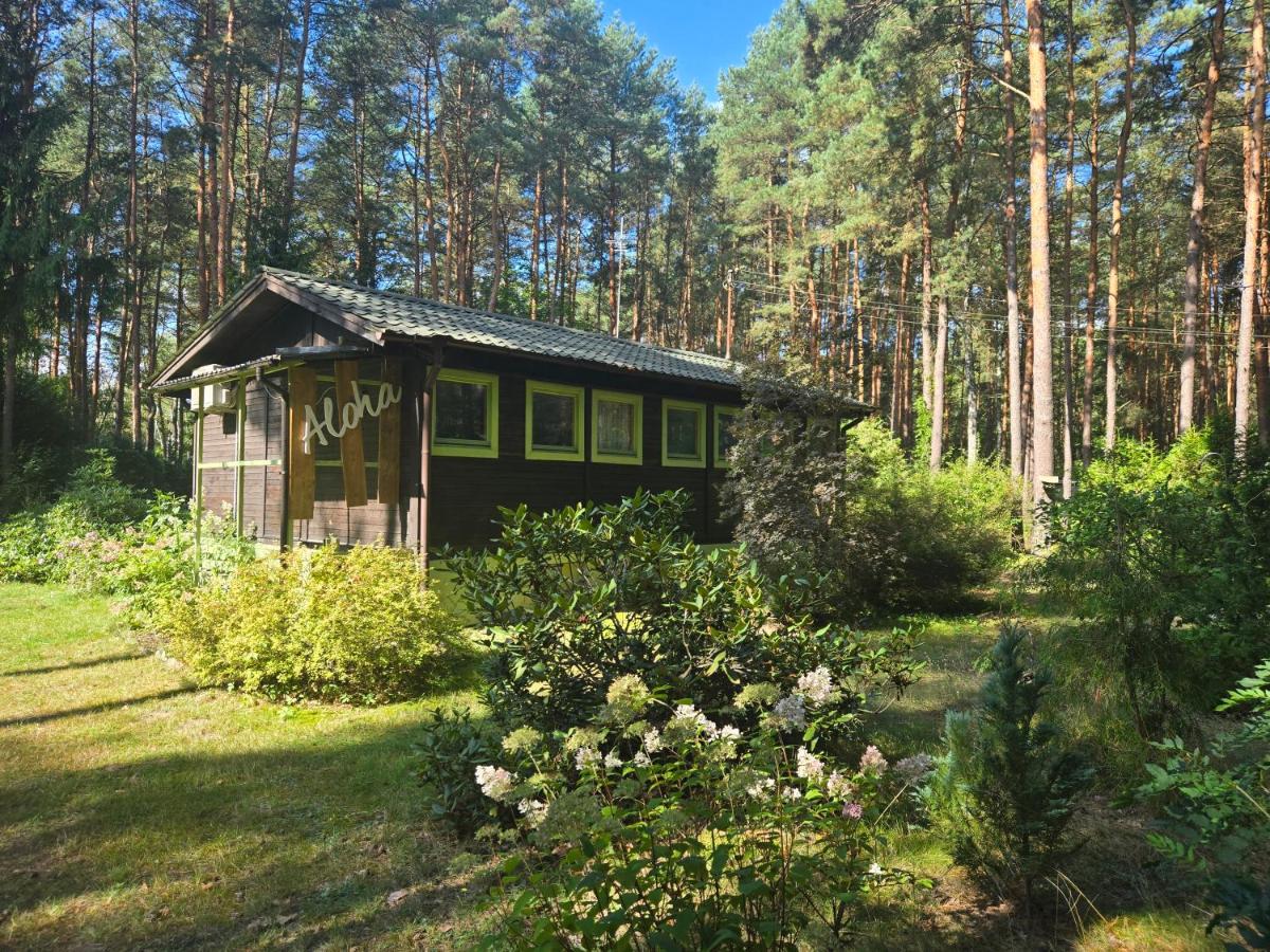 Aloha Summer Cottage - Chambres d’hôtes Łaziska