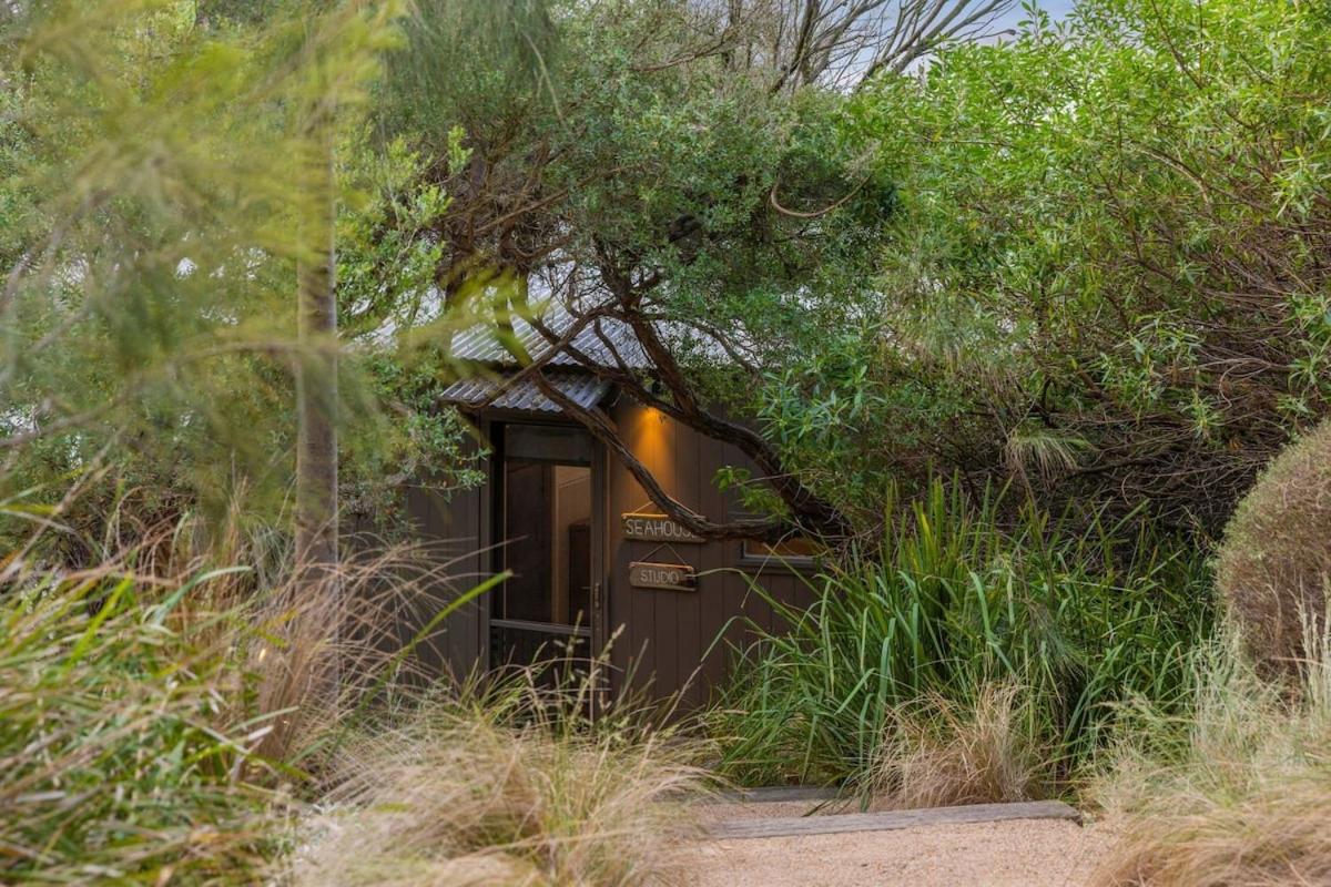 Seahouse Studio - Private Beach Access Pets - Ferienwohnung Gununa