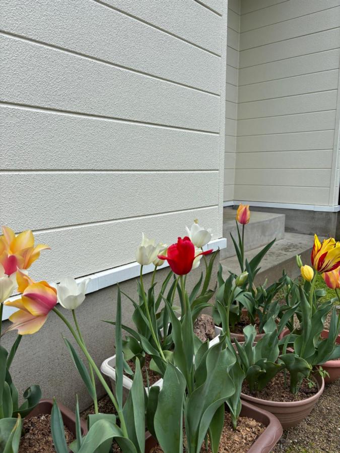 Stay Chacha 城下町茶茶1F - B&B Marugame