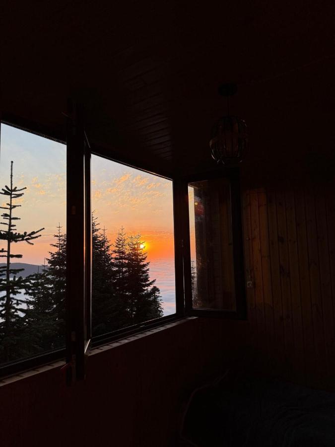 The Cotria's Chalet at GomisMta - B&B Gomi