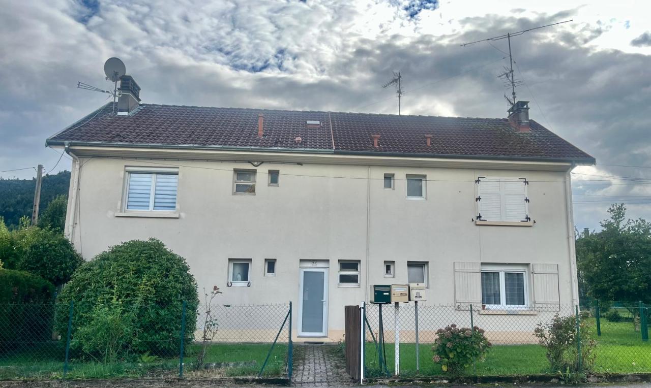 Charmant appartement Vosgien centre Saint Dié, proche montagnes - Ferienwohnung Saint-Dié-des-Vosges
