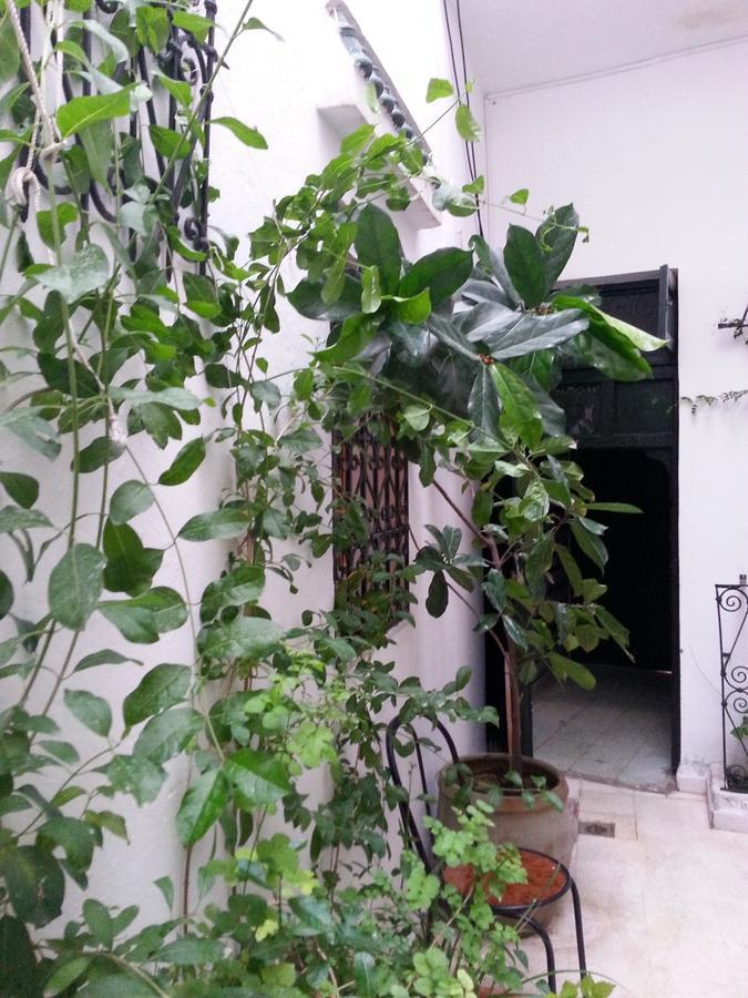 Dar kenza Tunis - B&B