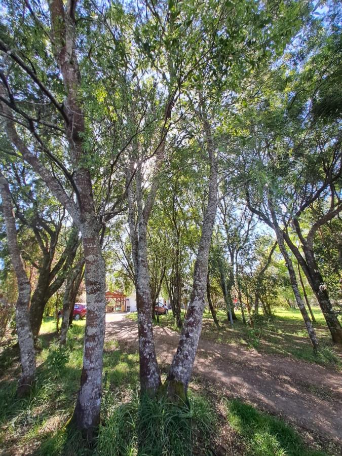 Casa de Vacaciones Naturalis Lodge - Valdivia - Ferienwohnung Valdivia