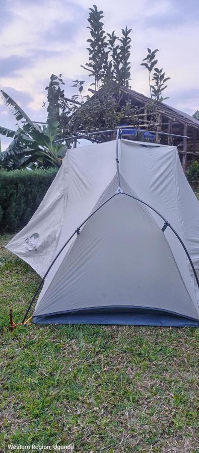 Wycliffˋs Eco Resort - B&B