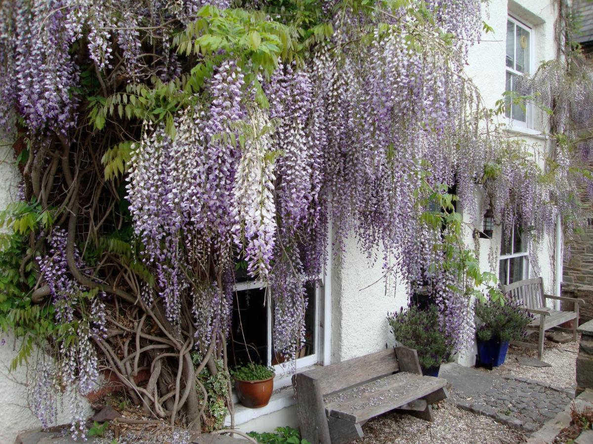 B&B Hay-on-Wye - Half Moon House - Bed and Breakfast Hay-on-Wye