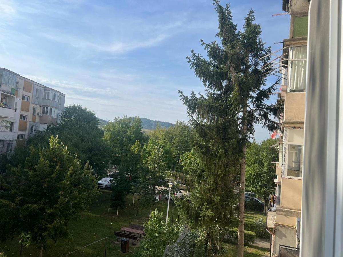 Apartament Dana - B&B Deva