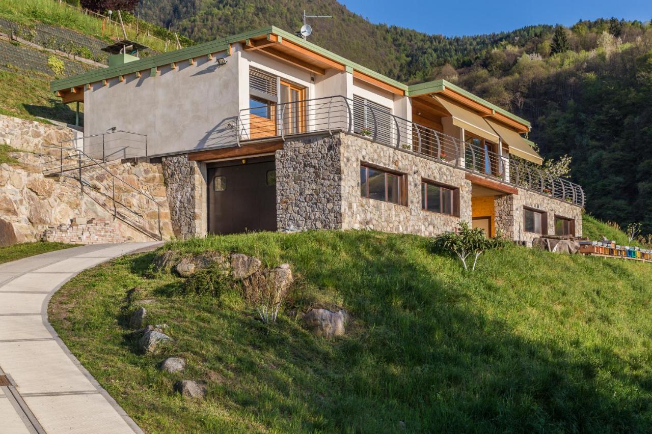 Agriturismo Alveare sul lago - Ferienwohnung