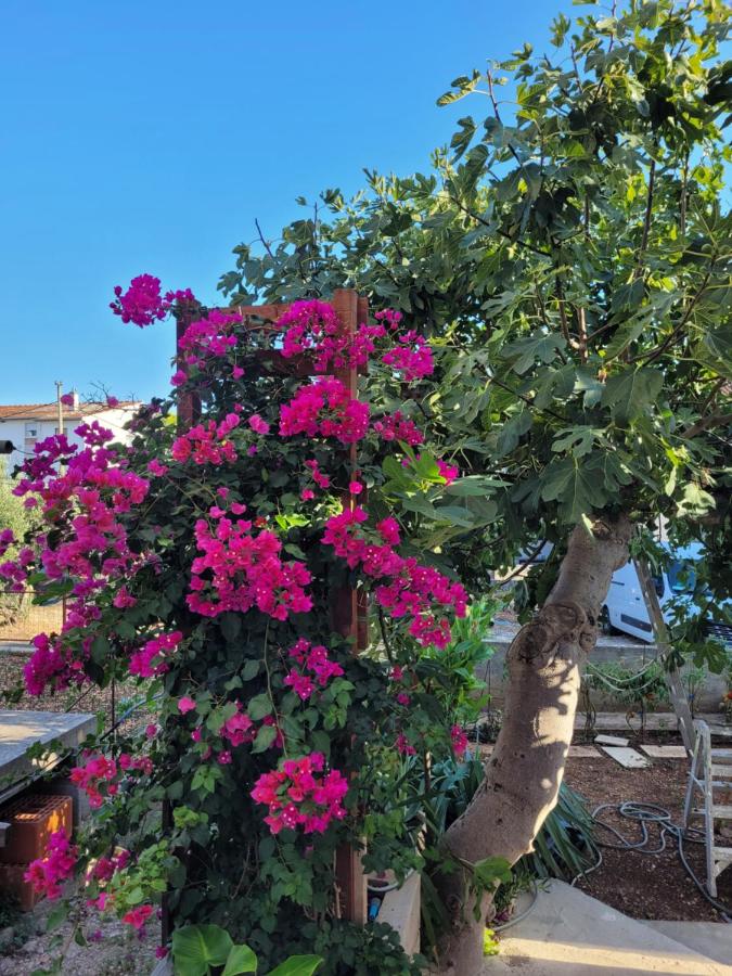 Harizma - Bed and Breakfast Primošten