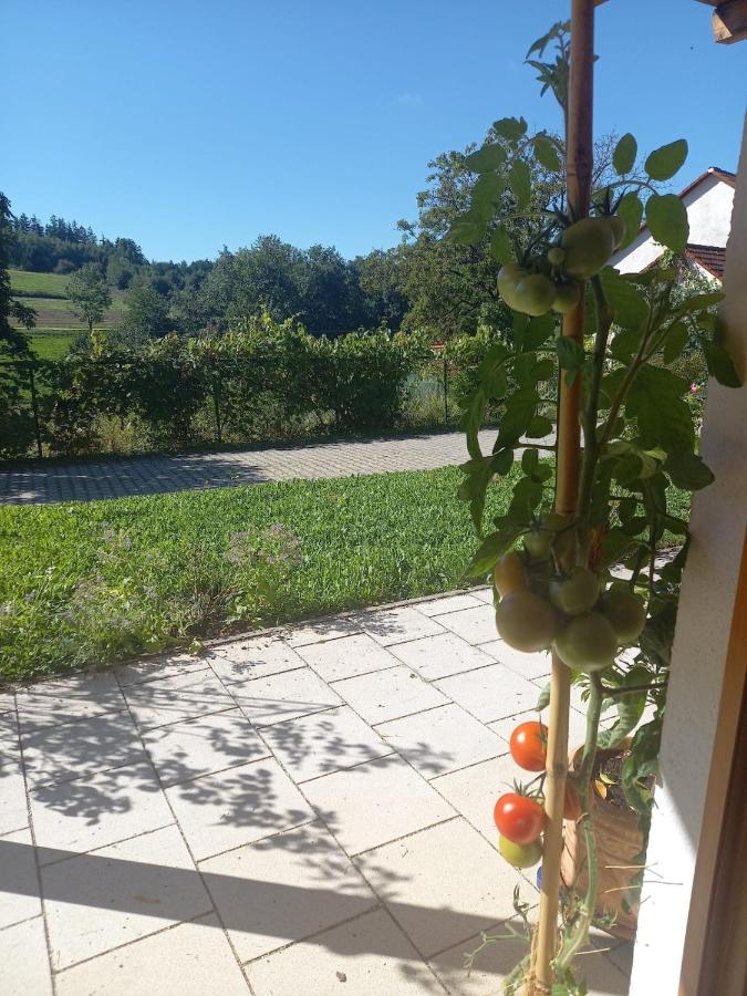 Idyllic apartment in Bavaria, near Munich, Freising, Erding - Chambres d'hôtes Gammelsdorf