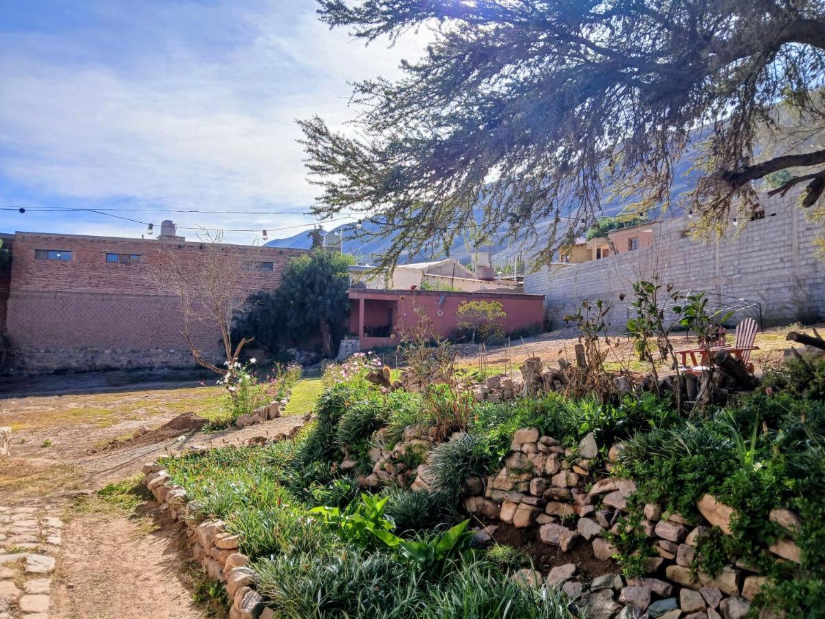 Guasamayo - B&B Tilcara