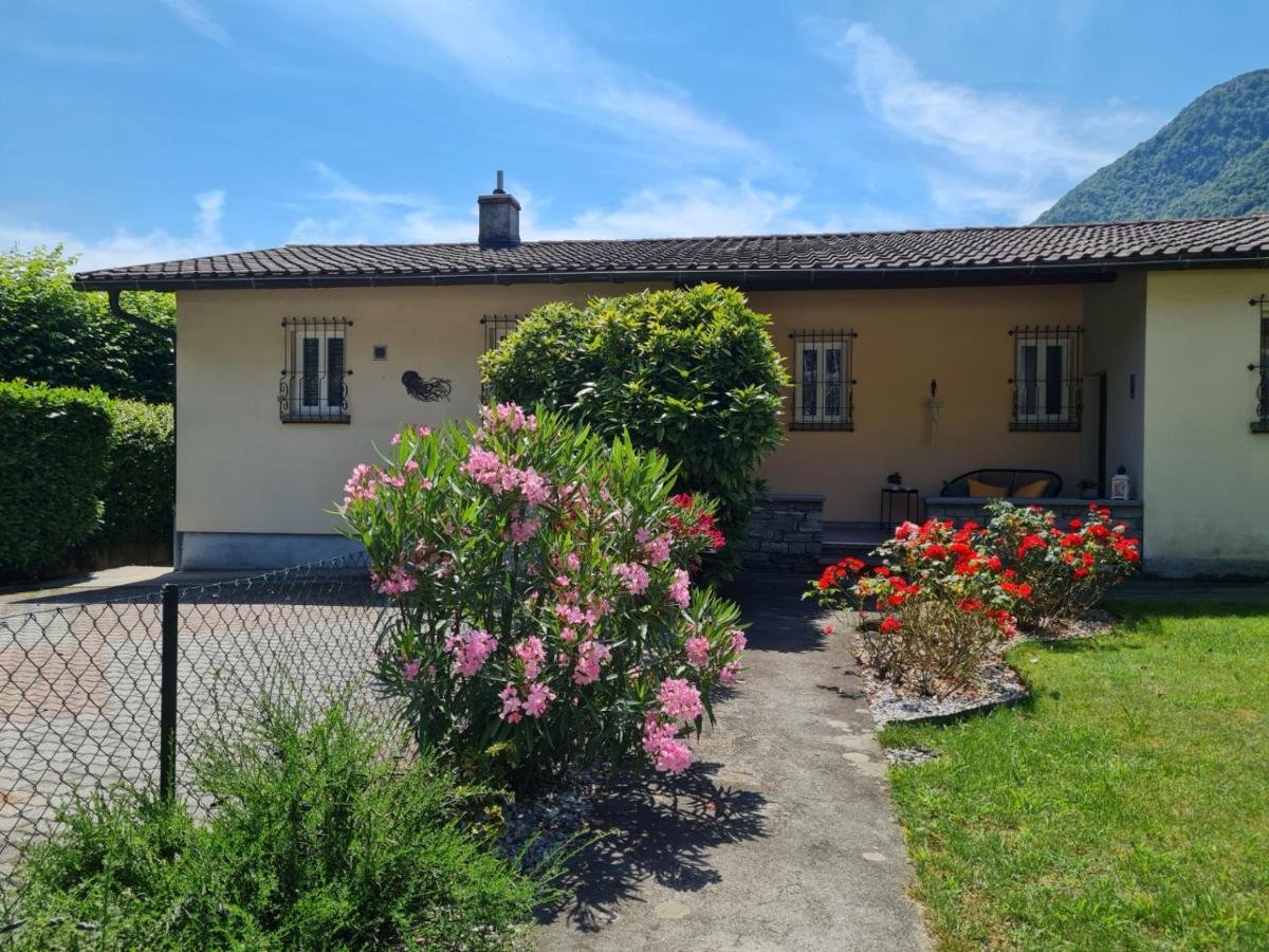 Casa Medusa - con piscina, a 2 minuti dalla stazione - B&B Verscio