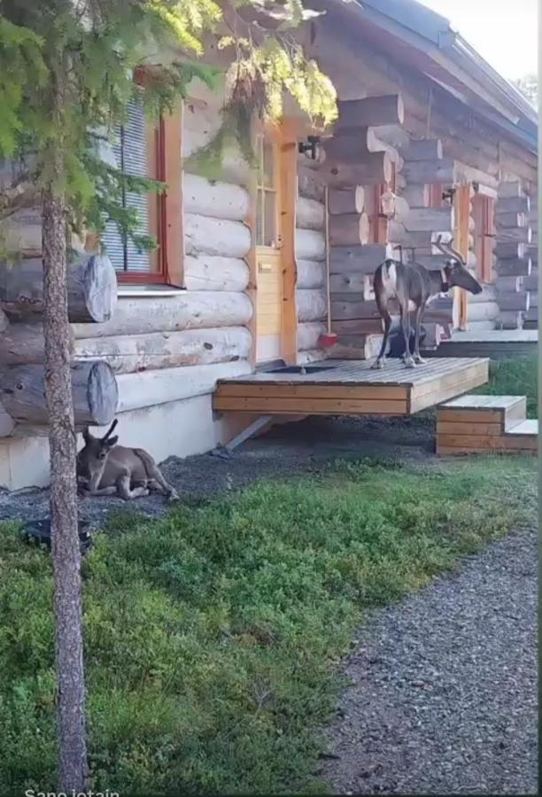 Holiday Home Lumikieppi - Ferienwohnung Äkäslompolo