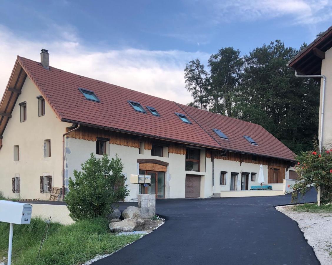 T3 neuf de 62m2 avec jardin axe Annecy-Geneve - B&B Villy-le-Pelloux