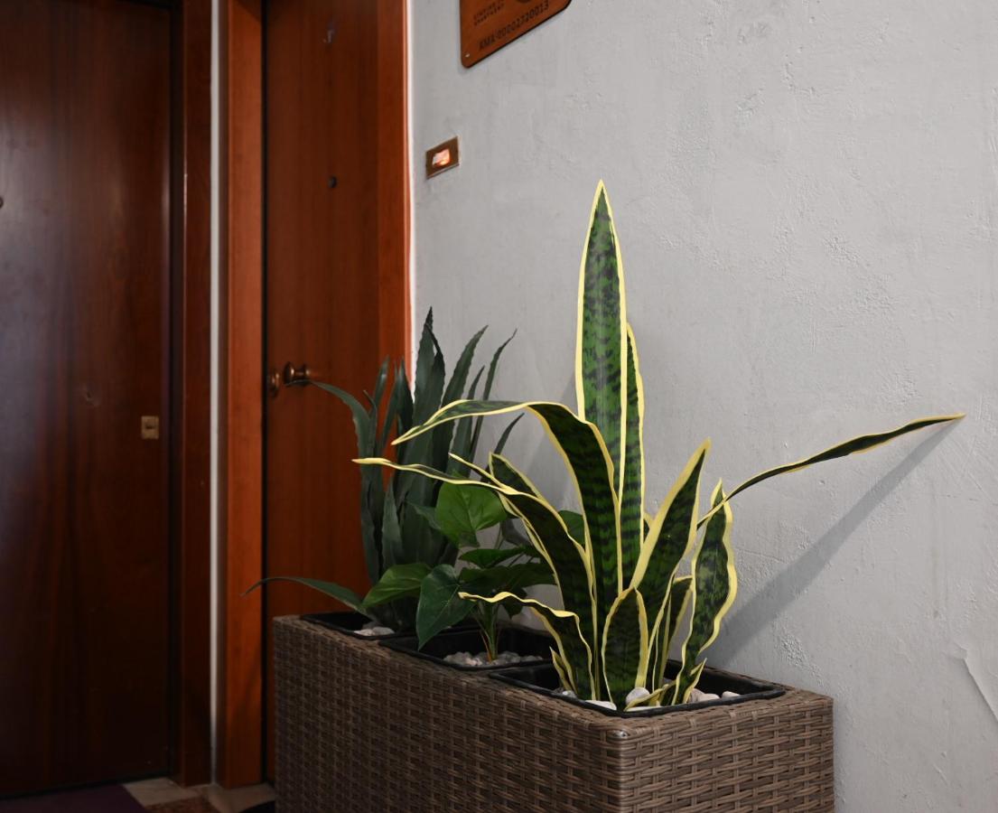 Limping John's Apartment - B&B Atenas