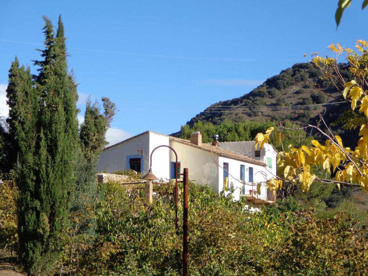 Mas Ardevol PT106 - B&B