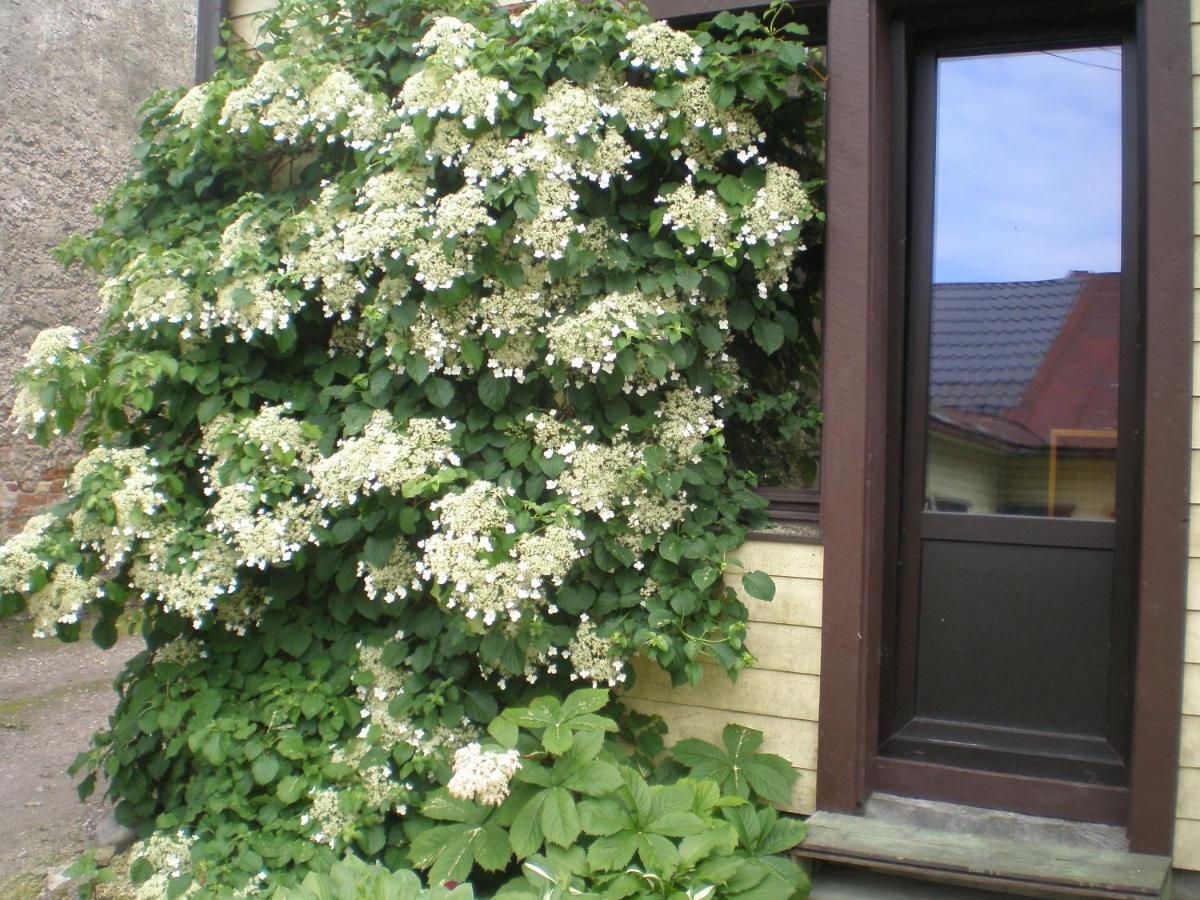 Jannseni Accommodation - B&B