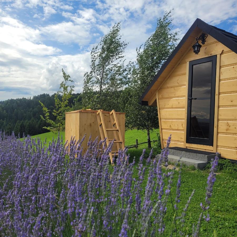 Między Nami Góralami, domek nad Jeziorem Czorsztyńskim - Chambres d'hôtes Huba