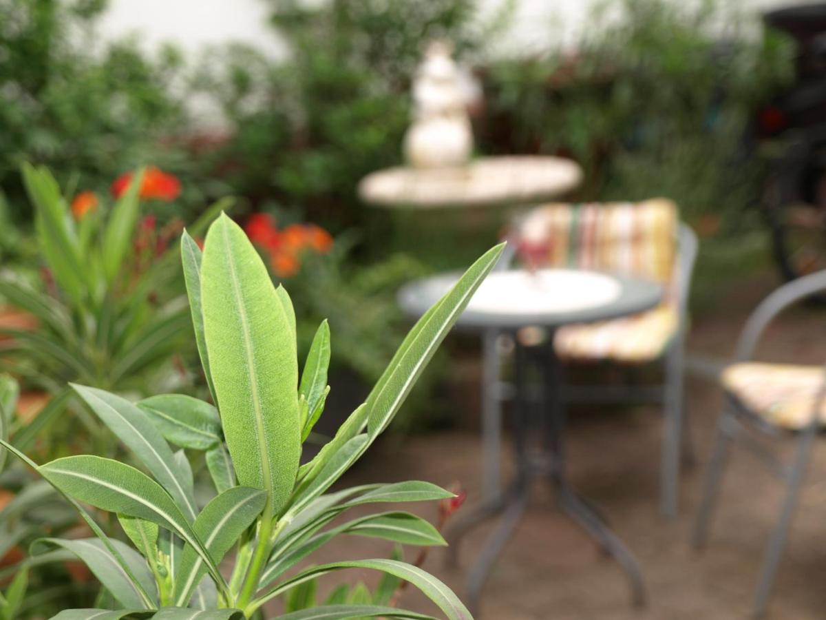 Ferienwohnung Klatschmohn - B&B Speyer