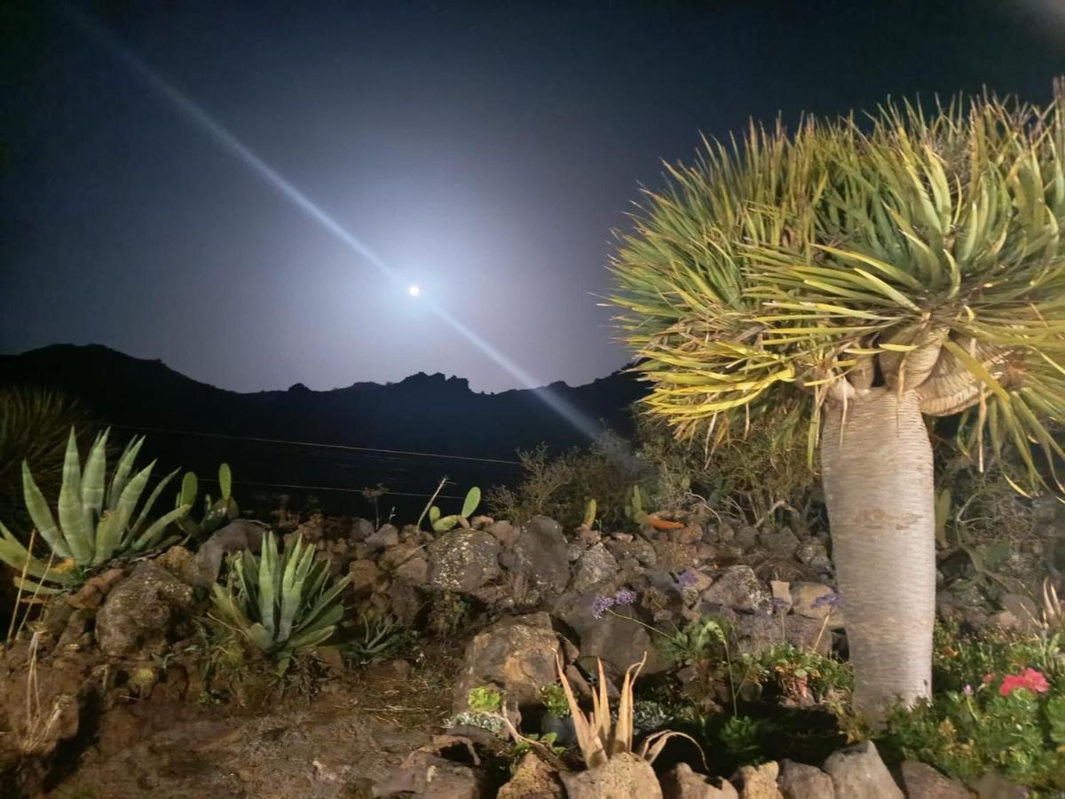 CHC - Casa Rural Dracaena - B&B Buenavista del Norte