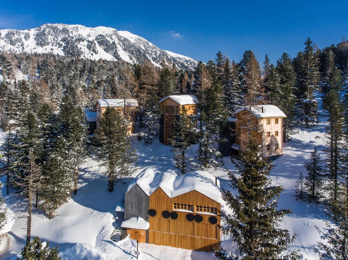 Hollmann am Berg Ski-in Ski-out - Ferienwohnung Turracherhöhe