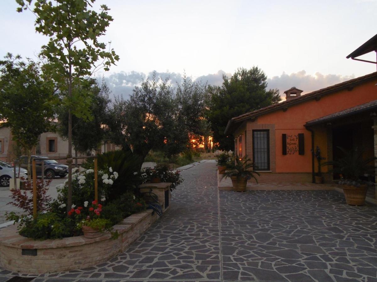 B&B Assise - B&B La Gioiosa - Bed and Breakfast Assise