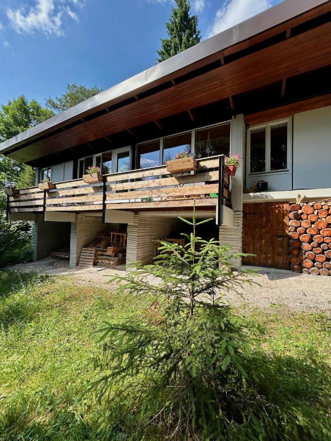 Ca'Mugo, a chalet in the magic woods, near Cortina - B&B Borca di Cadore