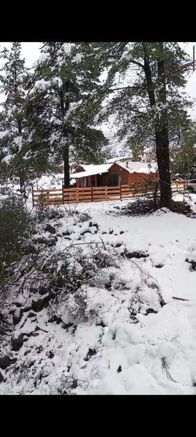 Cabañas lulu - B&B El Abanico